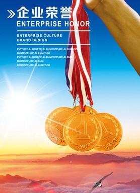 榮譽(yù)資質(zhì) (9)